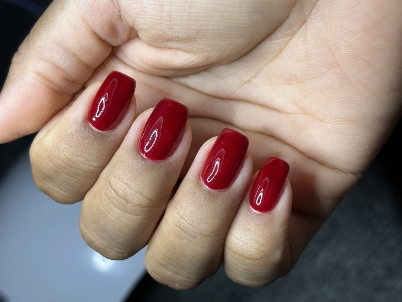 Estilista Profesional