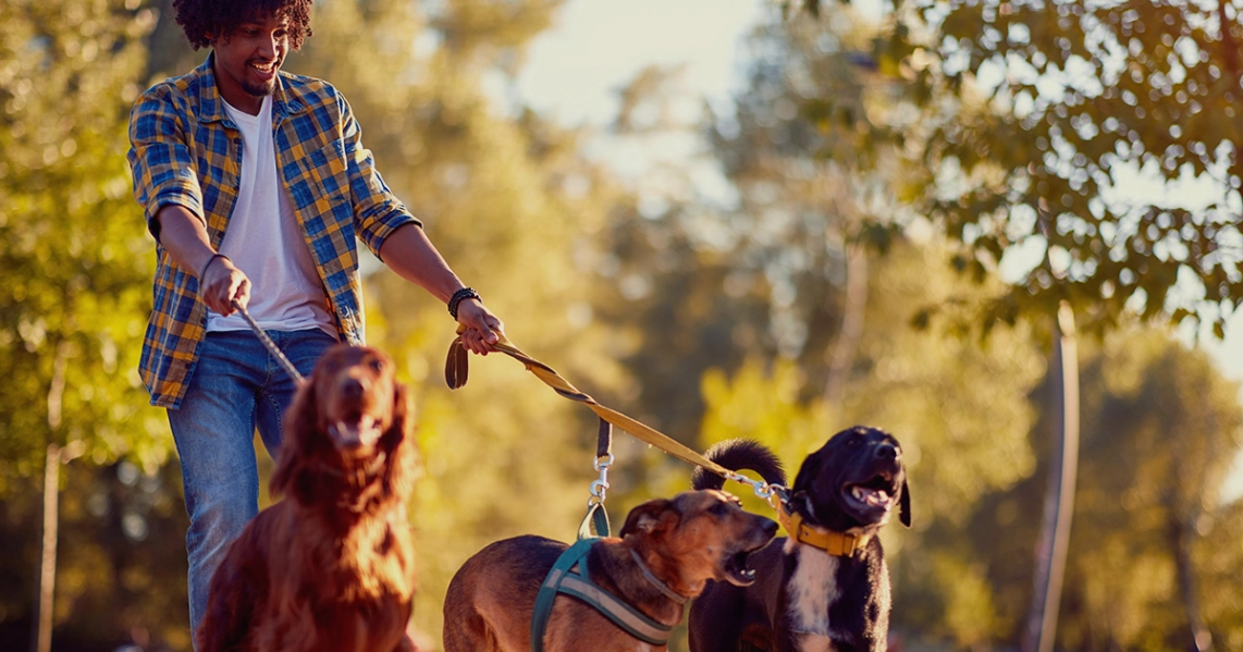 Paseador de perros