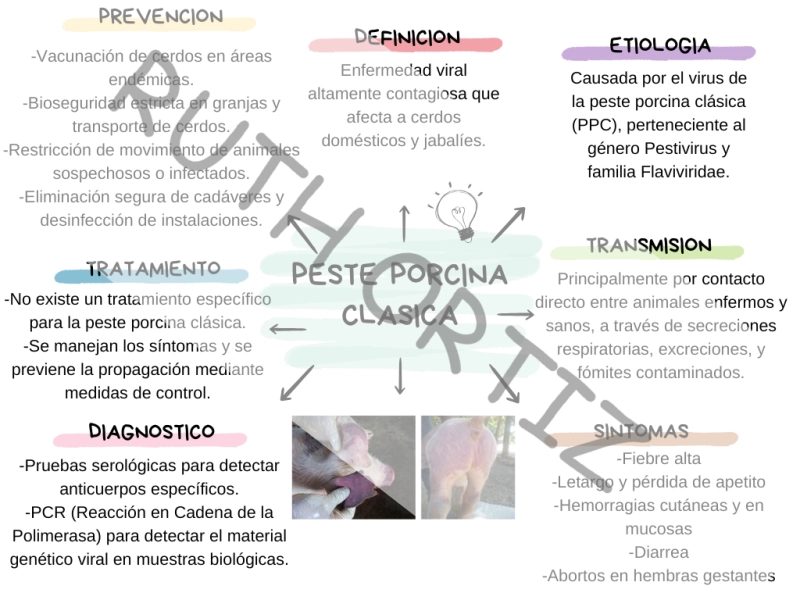 ✨ ¡Tu Aliado Académico! Tareas, Ensayos y Proyectos al Instante